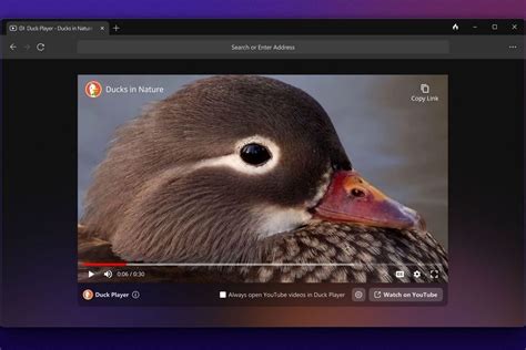 ducktogo|DuckDuckGo Private Browser on the App Store